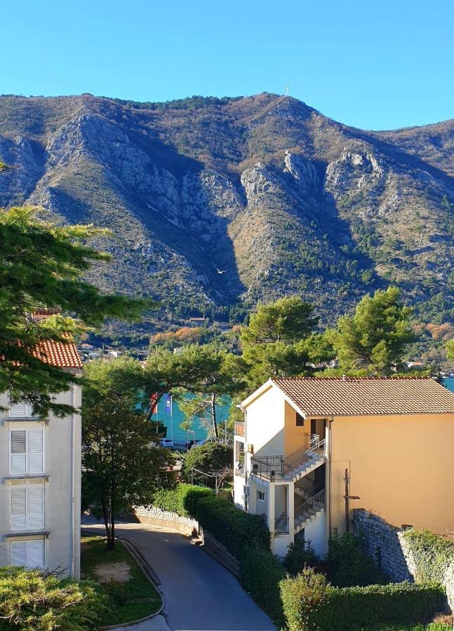 The Nest - Urban Family Place Kotor Extérieur photo
